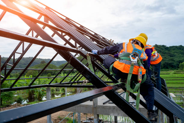 Best Roof Gutter Cleaning  in Rock Springs, NM