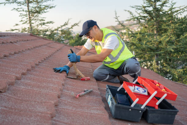 Best Roof Leak Repair  in Rock Springs, NM
